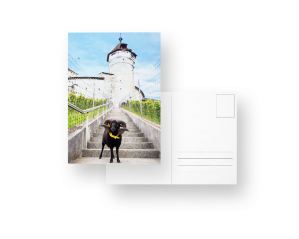 Postkarte: "De Willi Widder entdeckt Schaffhuse" - Motiv Widder & Munot